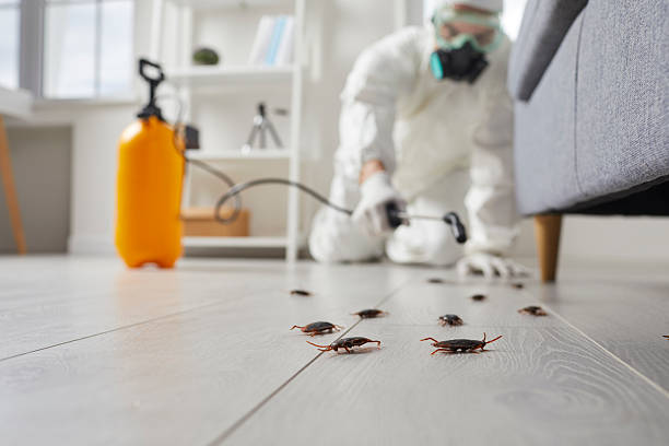 Post-Treatment Bed Bug Interceptor Monitoring in Carlisle